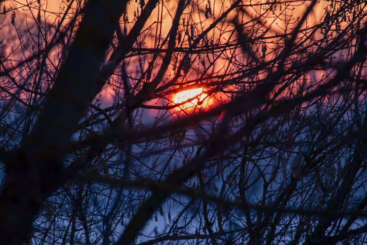 Восход - Sergei Vikulov