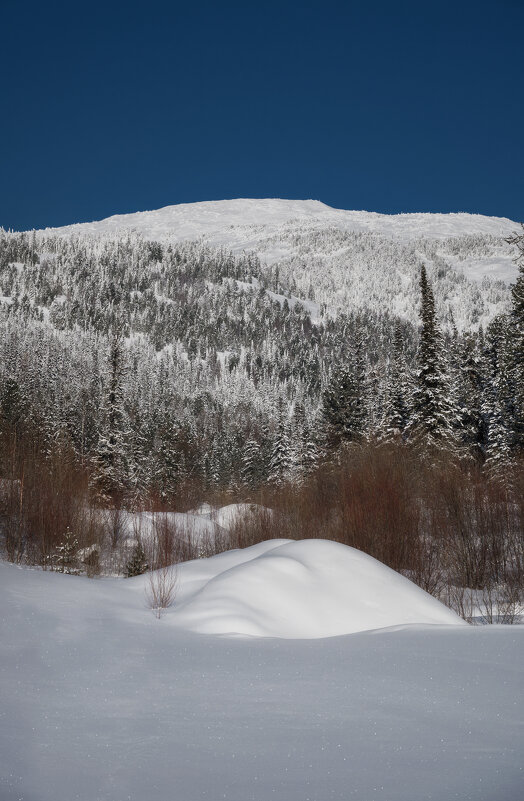 * - Александр Иванов