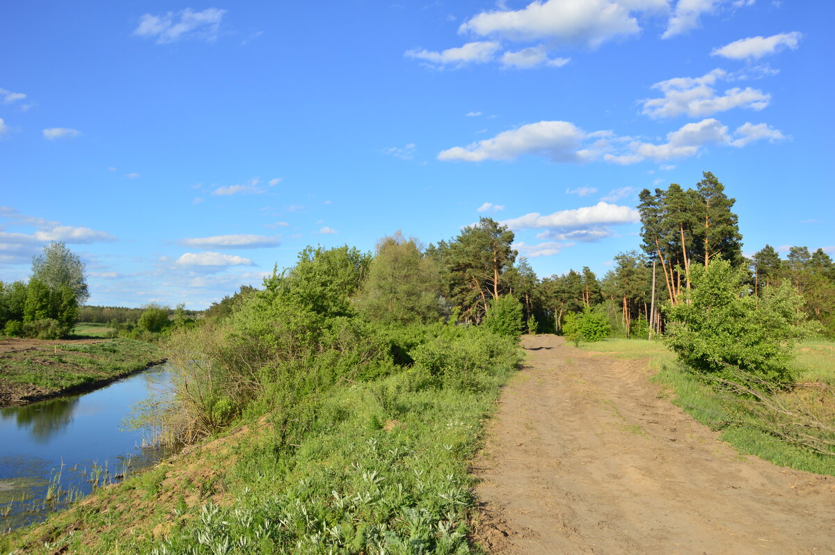 Мои дороги. - Виктор 