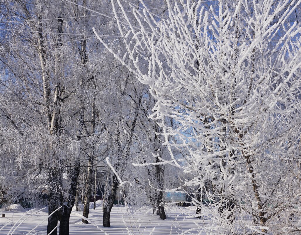 Зима в городе - Наталия Григорьева