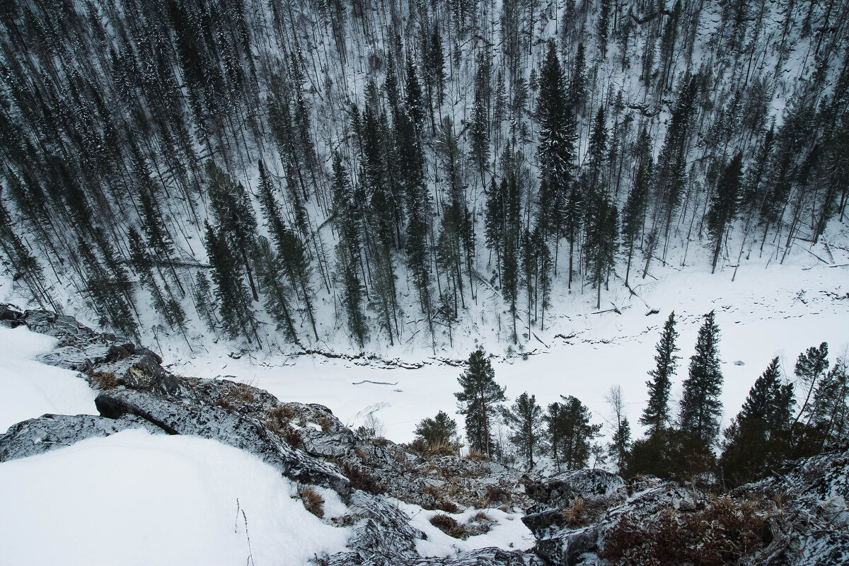 *** - Евгения Каравашкина