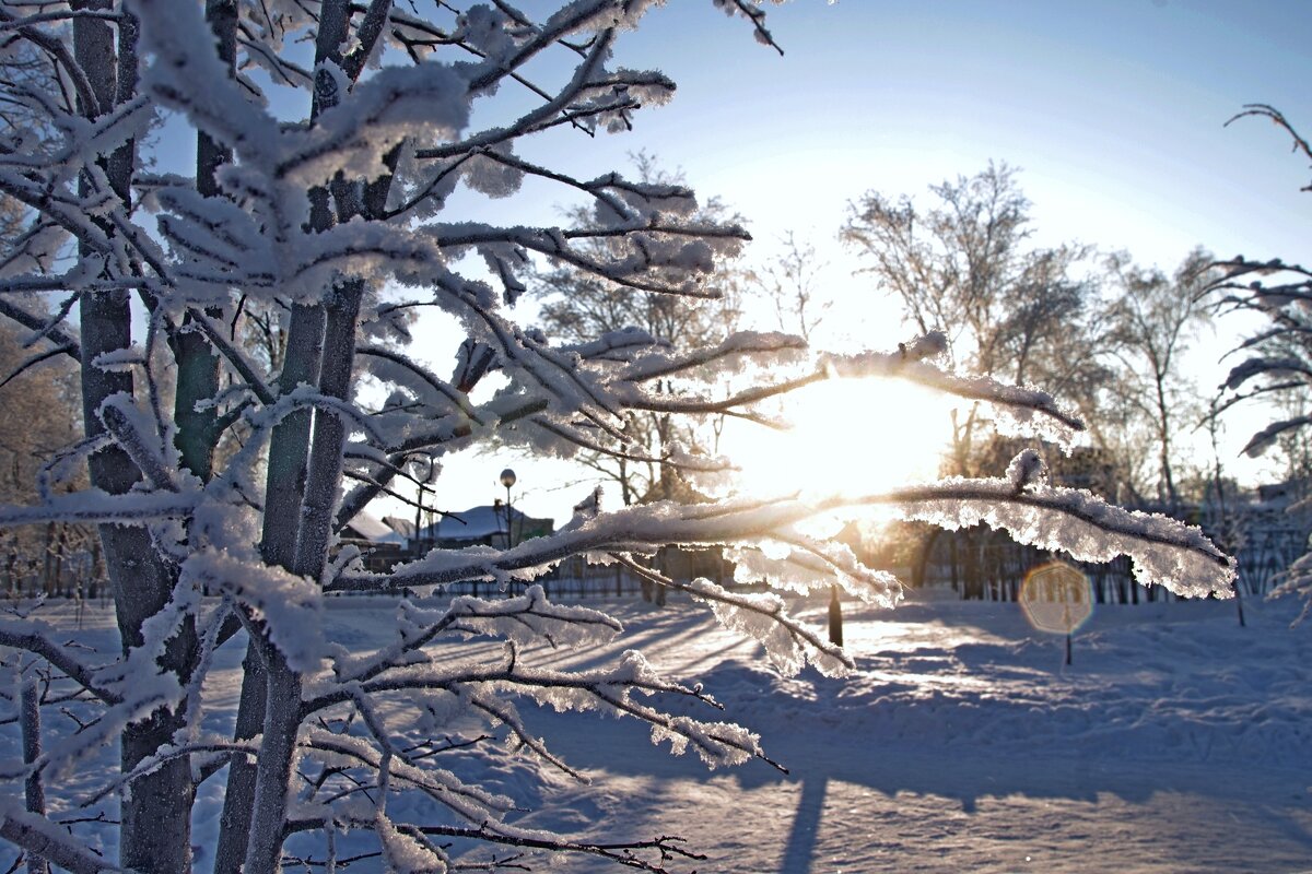 В парке - Сергей Швечков