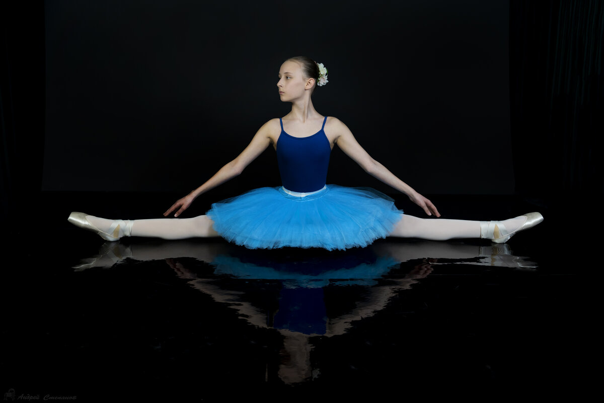 Балет балет балет... - Андрей + Ирина Степановы