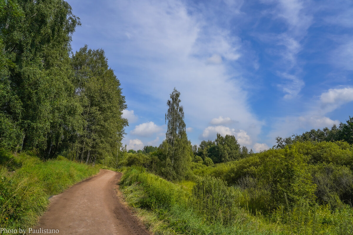 Тропинками лета... - Владимир Жданов Тропинками лета... - Владимир Жданов
