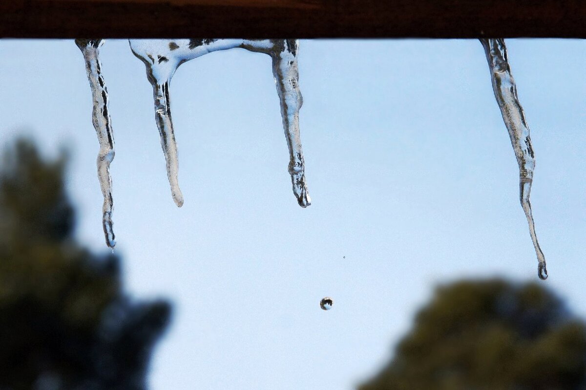 Начало - Тамара Вебер