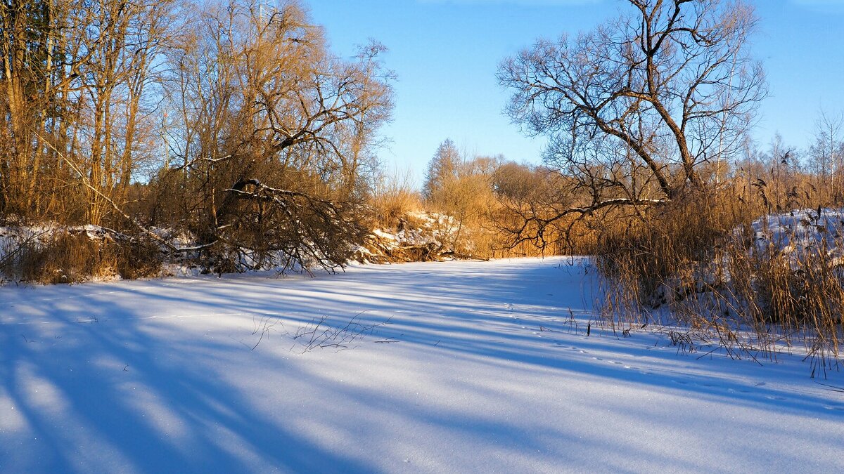 Последние дни февраля. - Милешкин Владимир Алексеевич 