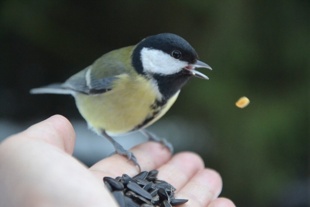 Потеряла... - Надежда 