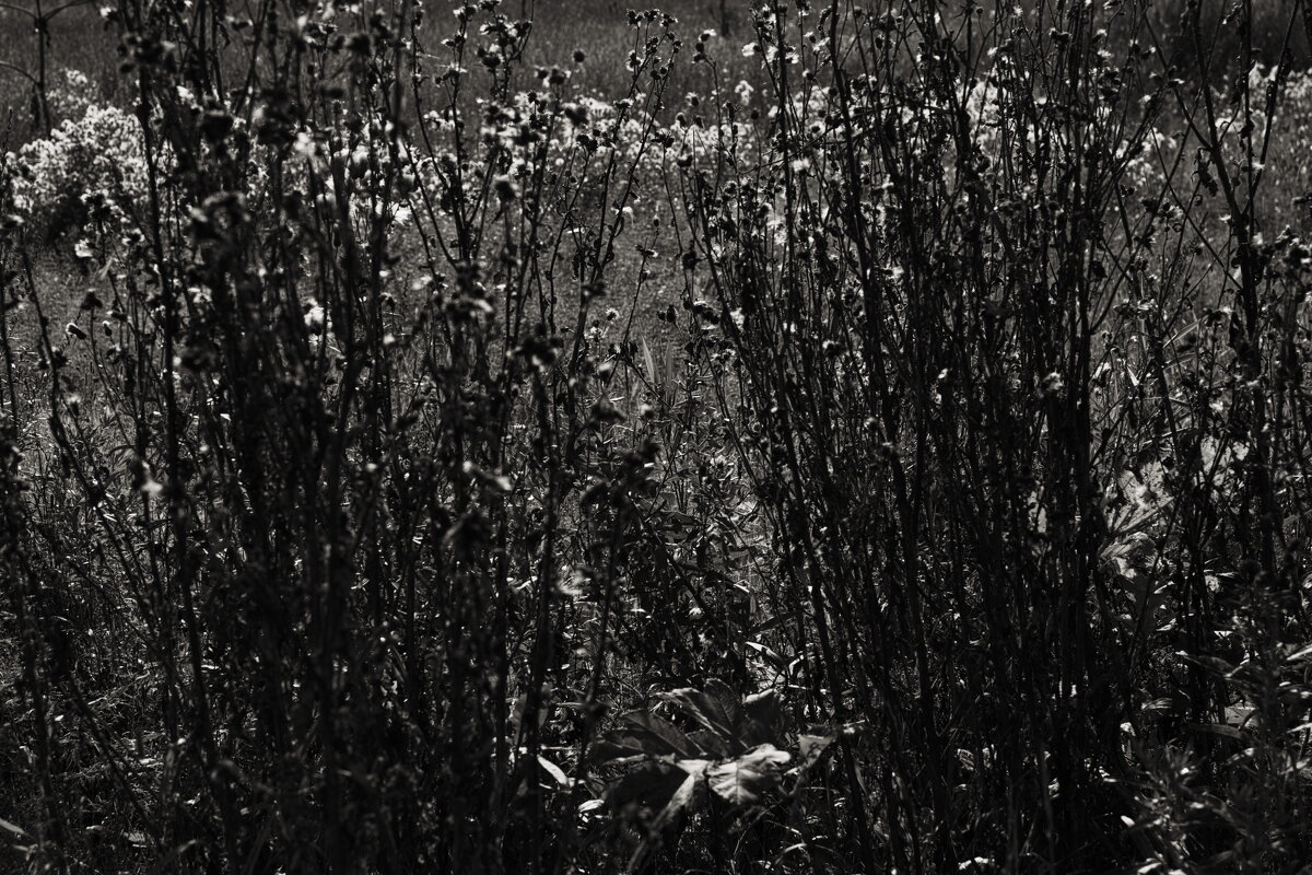 Название отсутствует - Денис Безногов