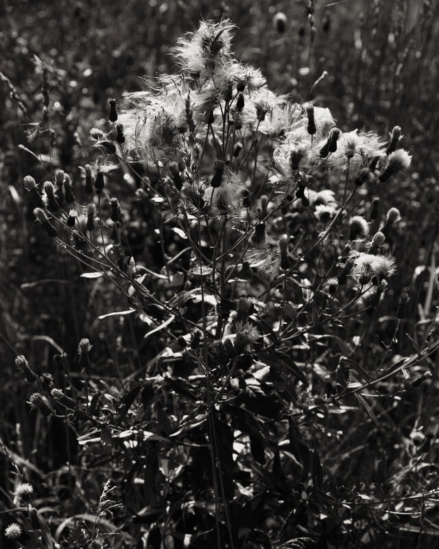 Название отсутствует - Денис Безногов Название отсутствует - Денис Безногов