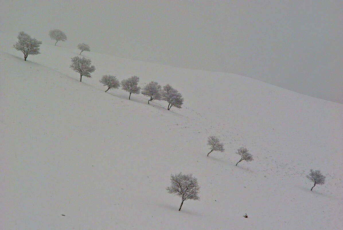 ЗИМНЯЯ ПРОГУЛКА, диагональ. - Виктор Осипчук