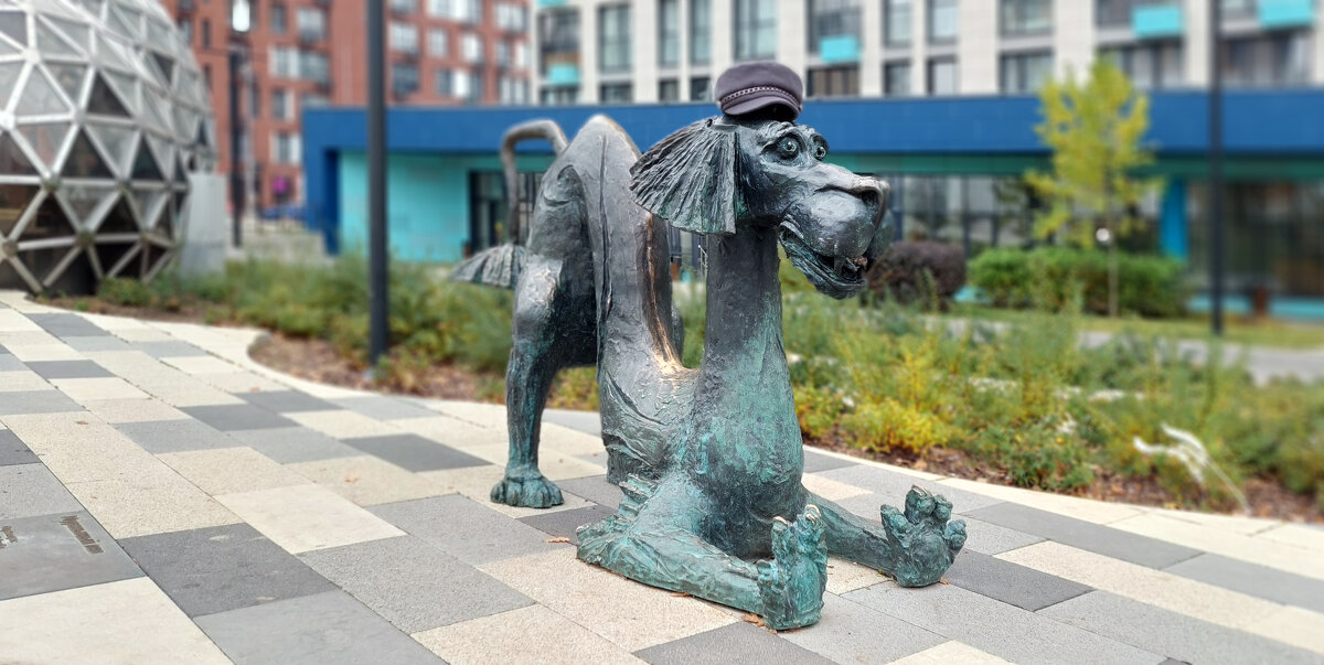 надень шапочку, лысинку застудишь - ИРЭН@ .