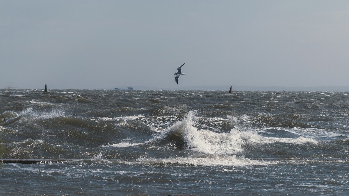 Осенний шторм в Керчи. - Анатолий Щербак