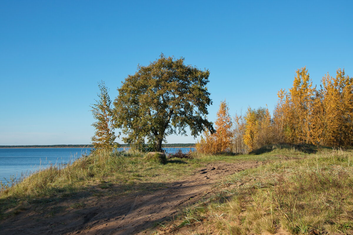 Пейзаж октября - lady v.ekaterina Пейзаж октября - lady v.ekaterina