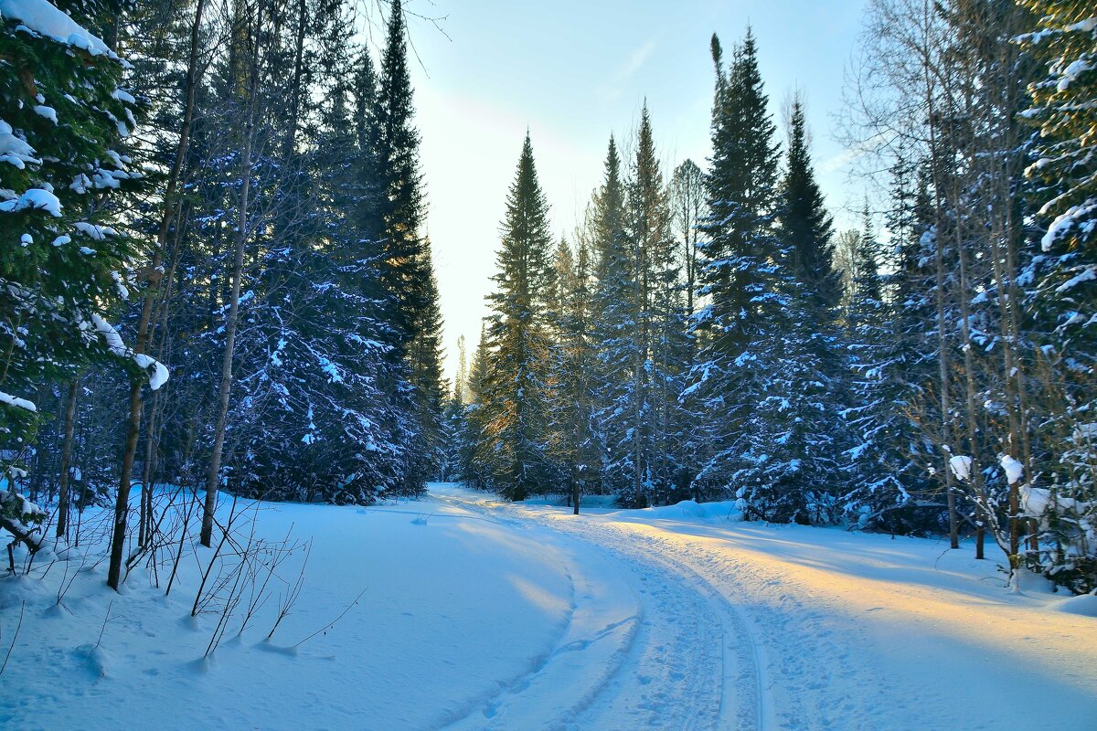 - - Владимир Мигонькин - - Владимир Мигонькин