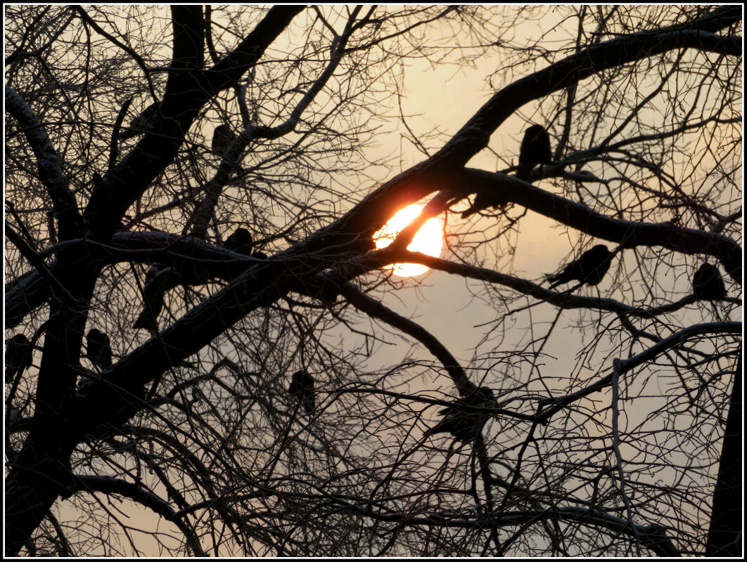 Морозное утро. - Егор Бабанов