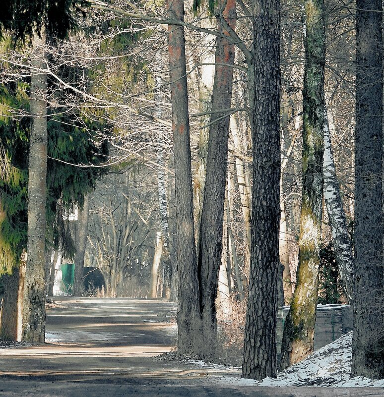 *** - Леонид leo *** - Леонид leo