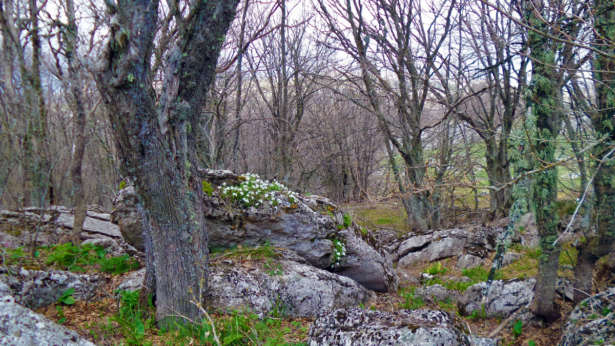 в горах в апреле - Ольга в горах в апреле - Ольга