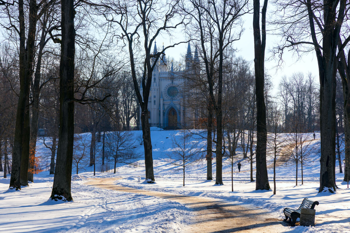 В парке. - vladimir Б