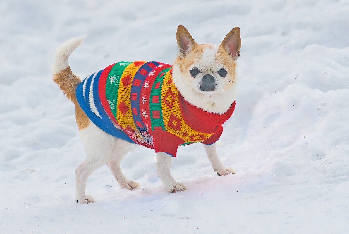 Яся - Валентин Котляров Яся - Валентин Котляров
