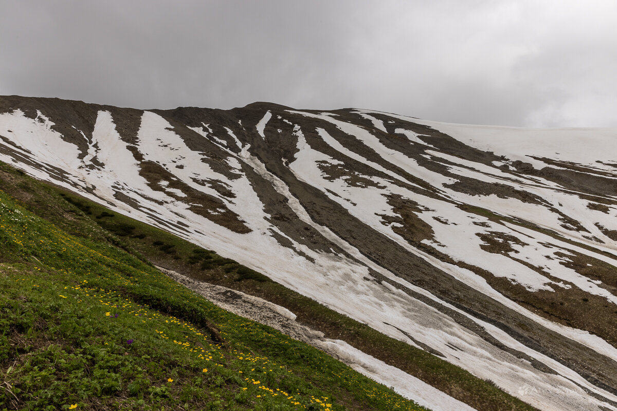**** - Алексей Соловьев