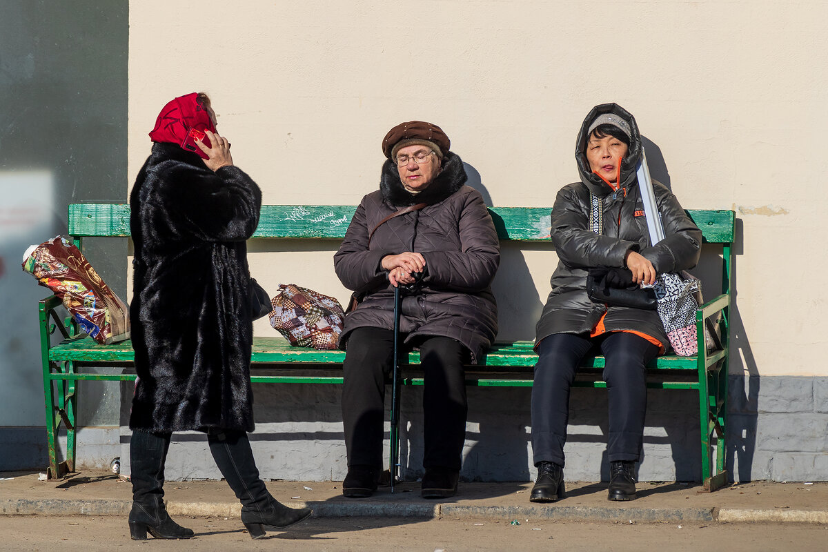 Разомлели на солнышке. - Анатолий. Chesnavik. Разомлели на солнышке. - Анатолий. Chesnavik.