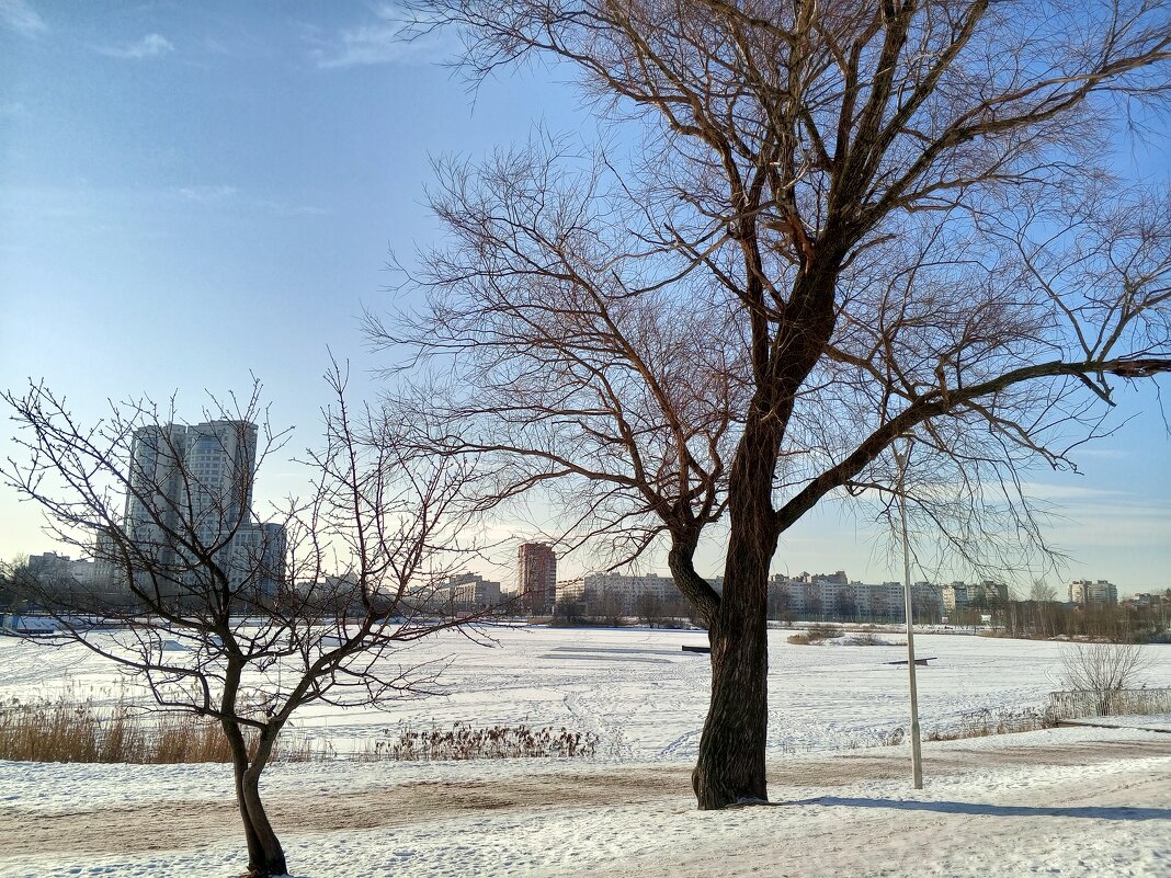 Зима - Сапсан Зима - Сапсан