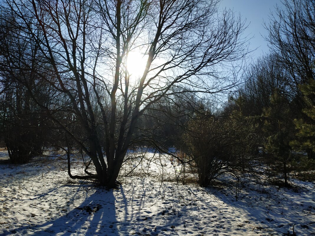 Провожая несостоявшуюся зиму - Андрей Лукьянов Провожая несостоявшуюся зиму - Андрей Лукьянов