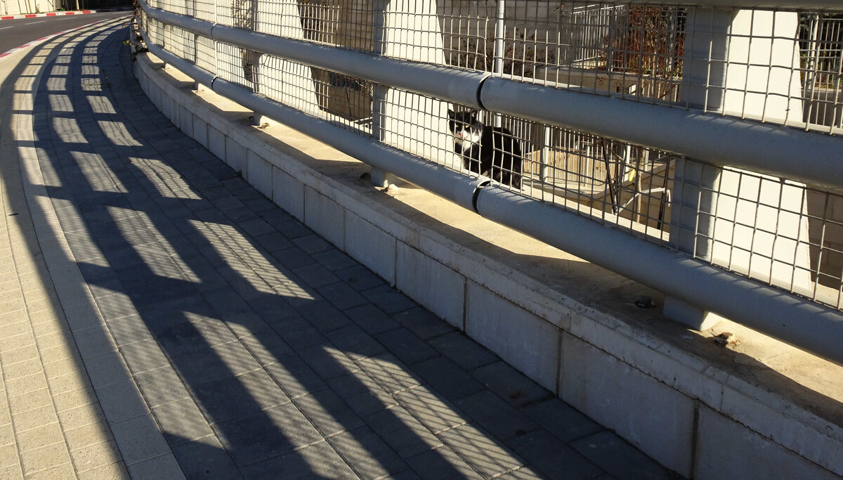 En attendant Godot - Helmut Levitt En attendant Godot - Helmut Levitt