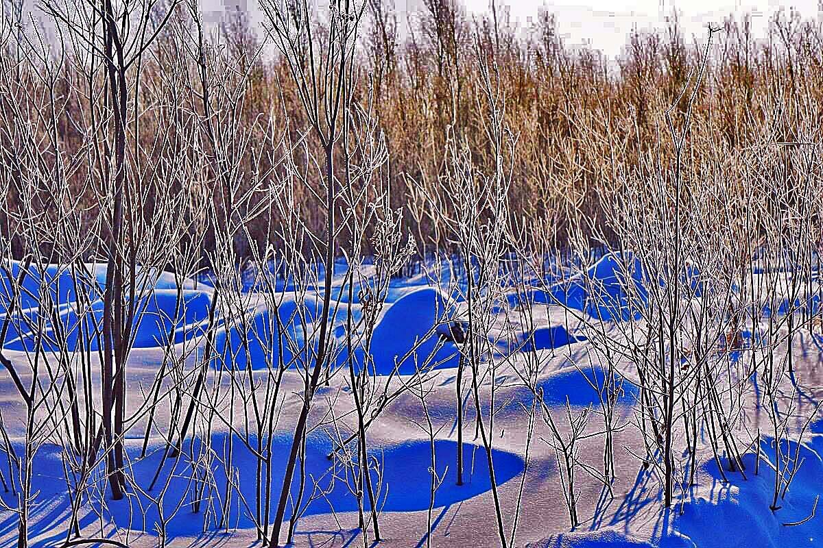Февраль...Мороз, снег и иней! - Владимир 