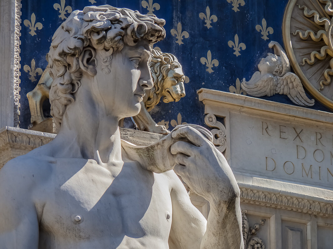 Микеланджело Буонарроти Давид. 1501—1504 - Наталья Rosenwasser