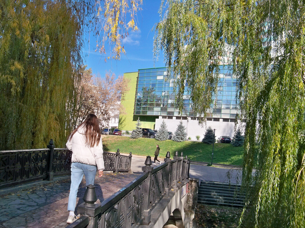 Мосты  Салгира - Валентин Семчишин