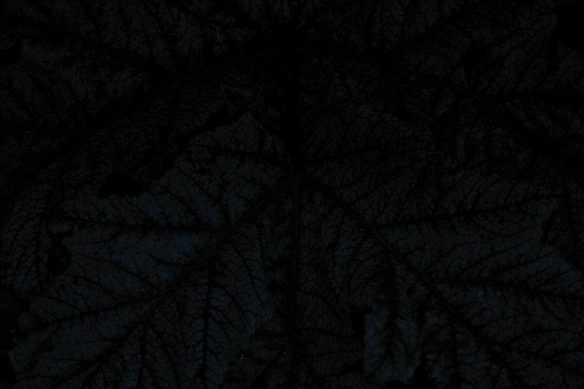 Название отсутствует - Денис Безногов