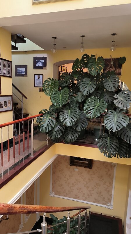 В музее фотографии. - Ольга 