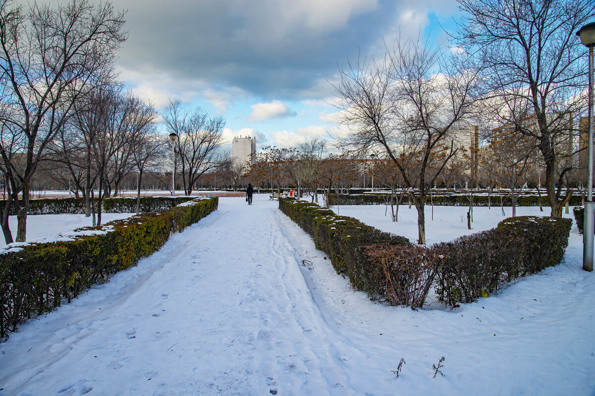 Зима - Анатолий Чикчирный Зима - Анатолий Чикчирный