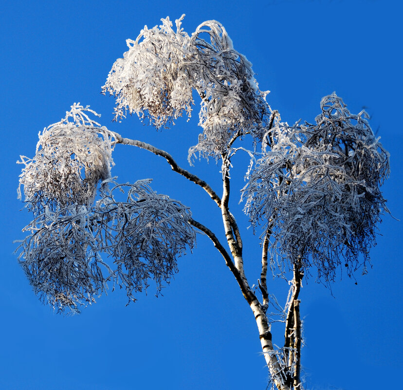 ЗА ПОЛЧАСА ДО ВЕСНЫ - Юрий Вовк ЗА ПОЛЧАСА ДО ВЕСНЫ - Юрий Вовк