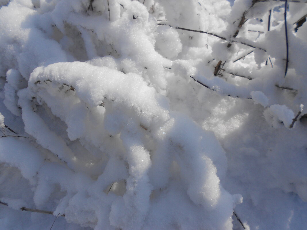 февраль - Елена Шаламова