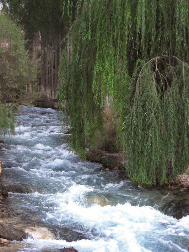 ГОРНАЯ ПРОГУЛКА. - Виктор Осипчук