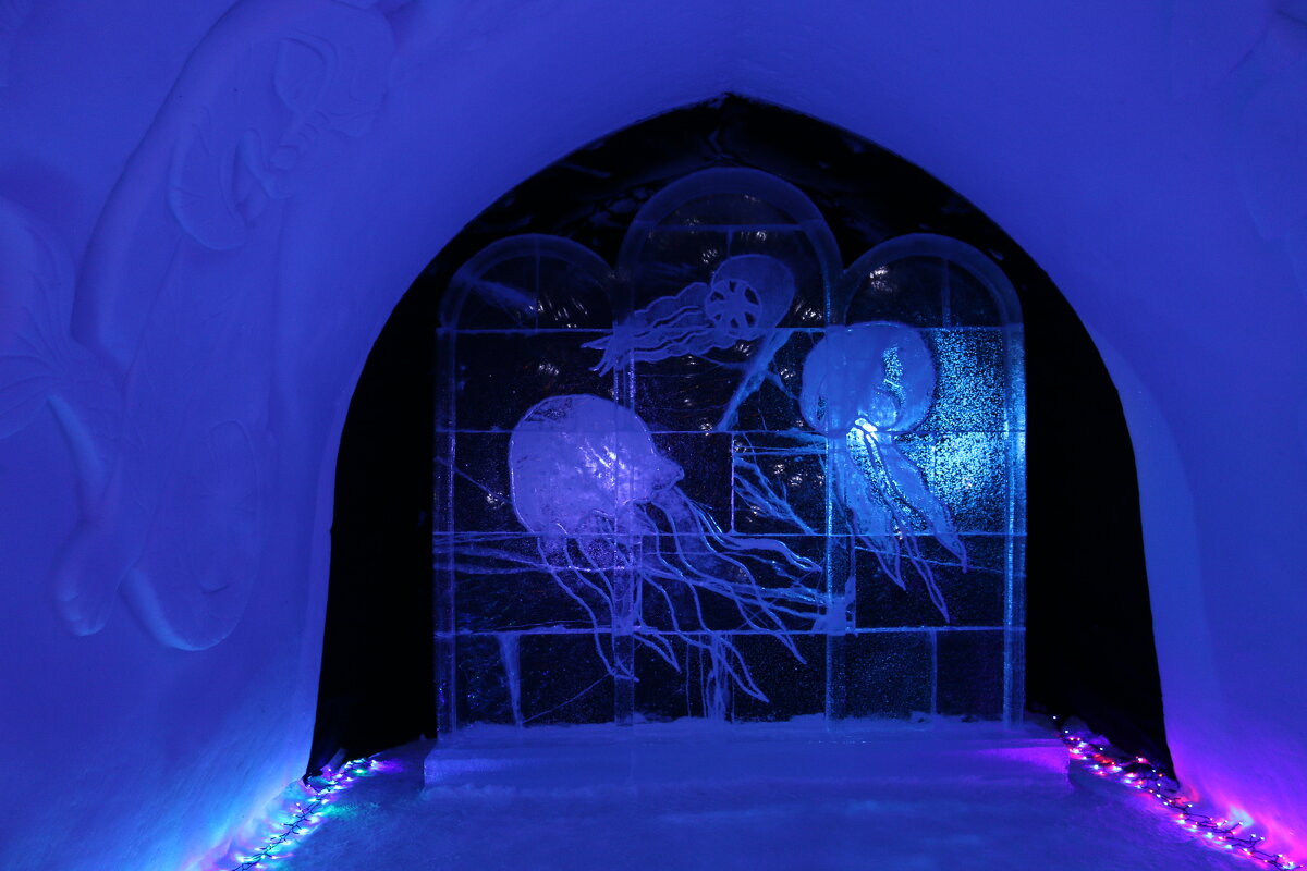 Обитатели снежной пещеры - Ольга 