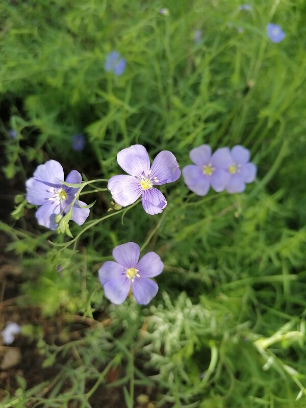 ,,, - Сергей Тимоновский