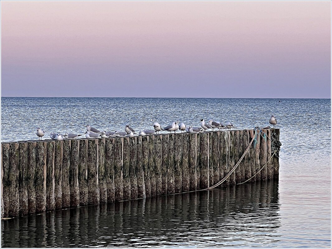 Утренние посиделки. - Валерия Комова