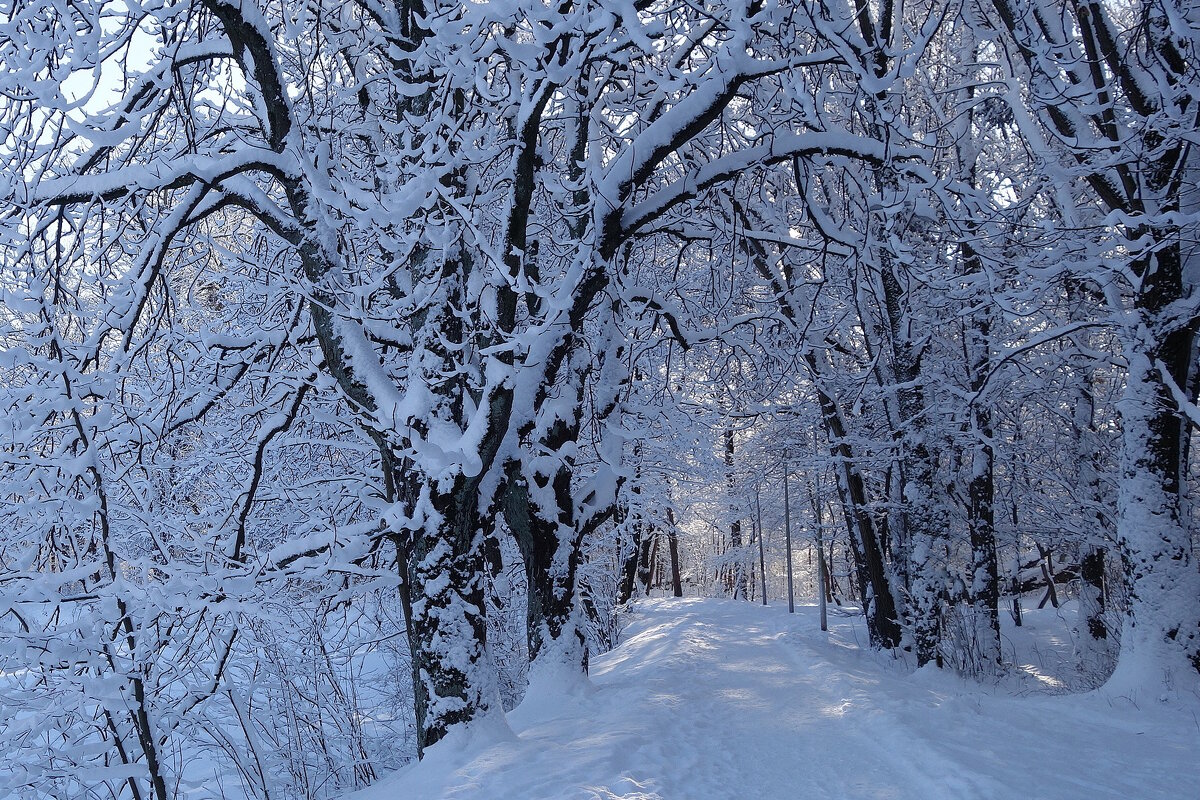 Февраль - Рита Симонова