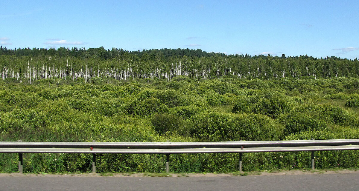 Перегон "Долгий Мост" - "Ямская Слобода" - Александр Ильчевский 