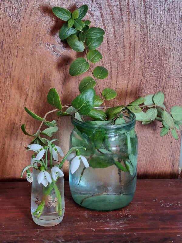 Февральский натюрморт - Наталья Февральский натюрморт - Наталья