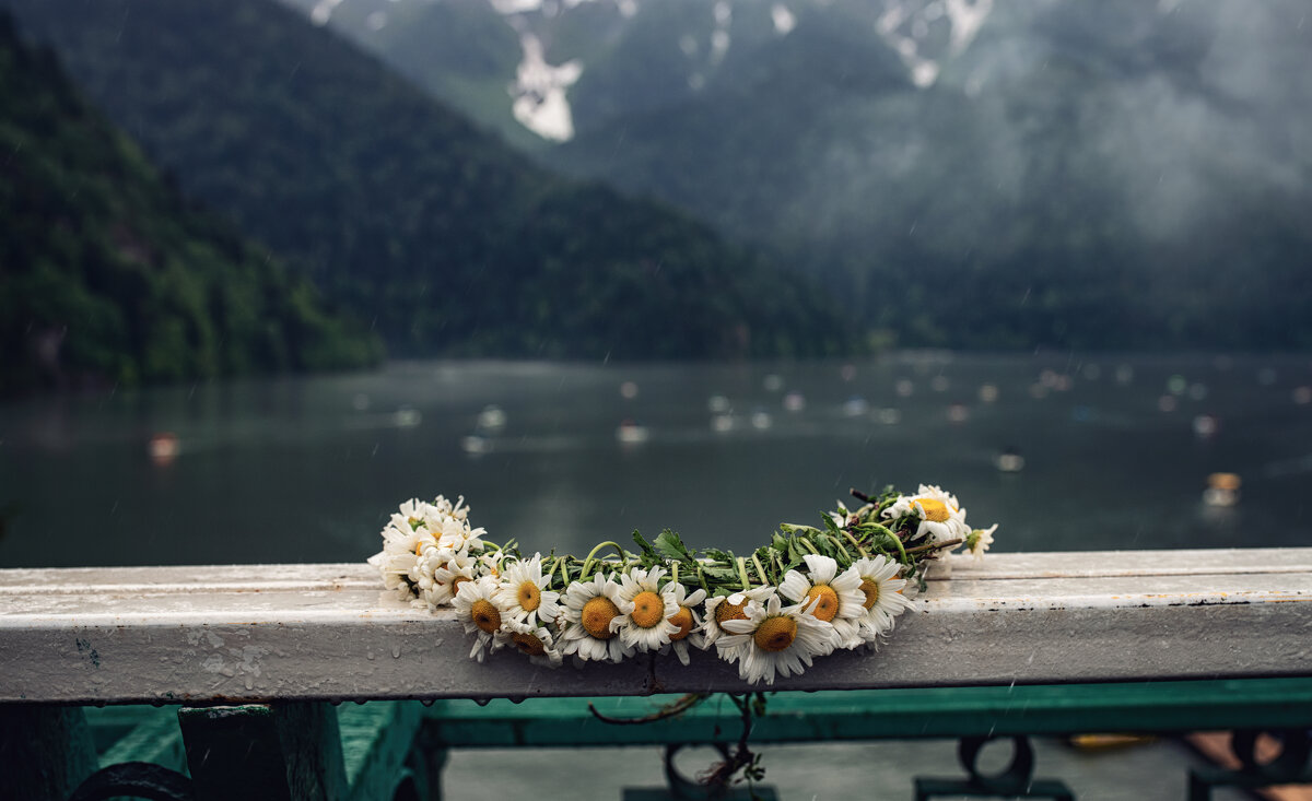В дождливый день... - Лилия . В дождливый день... - Лилия .