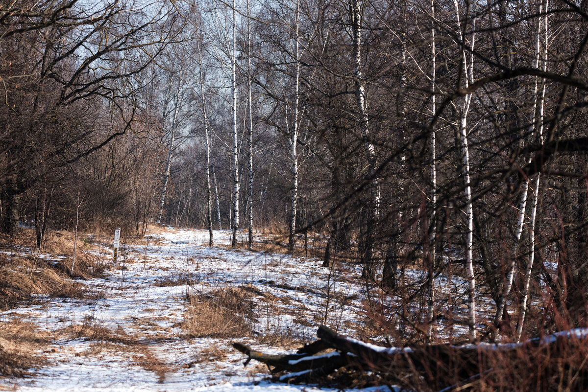 **** - Владимир Безбородов