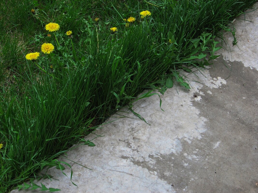 . - Александр Хоменко