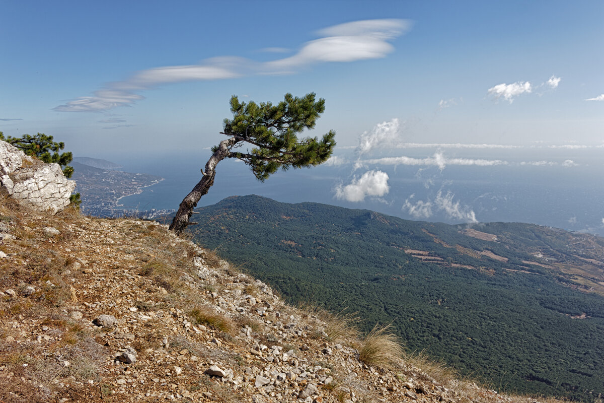* - Александр Лисовский