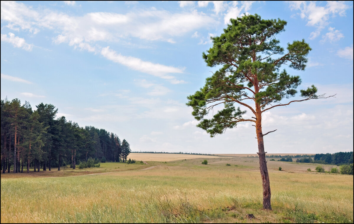 За Волгой - **** vedin За Волгой - **** vedin