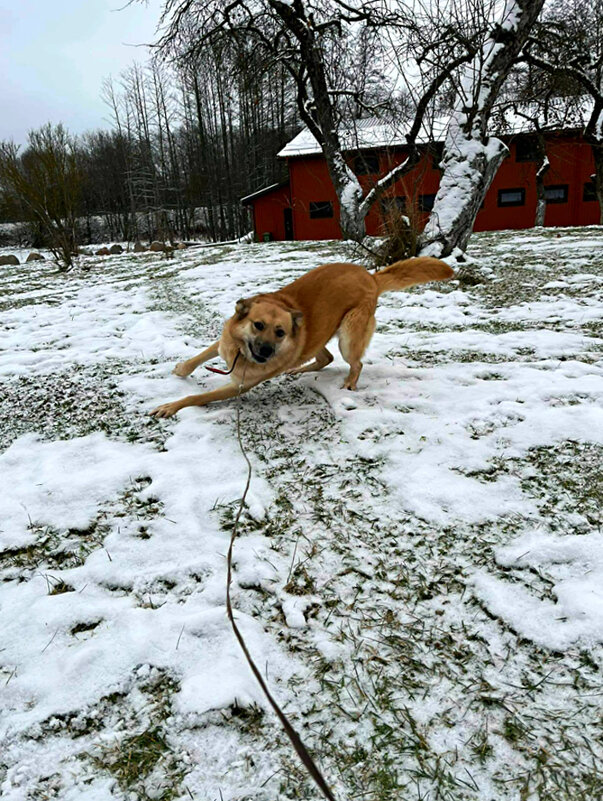 ПОИГРАЕМ - Анатолий Малобродский