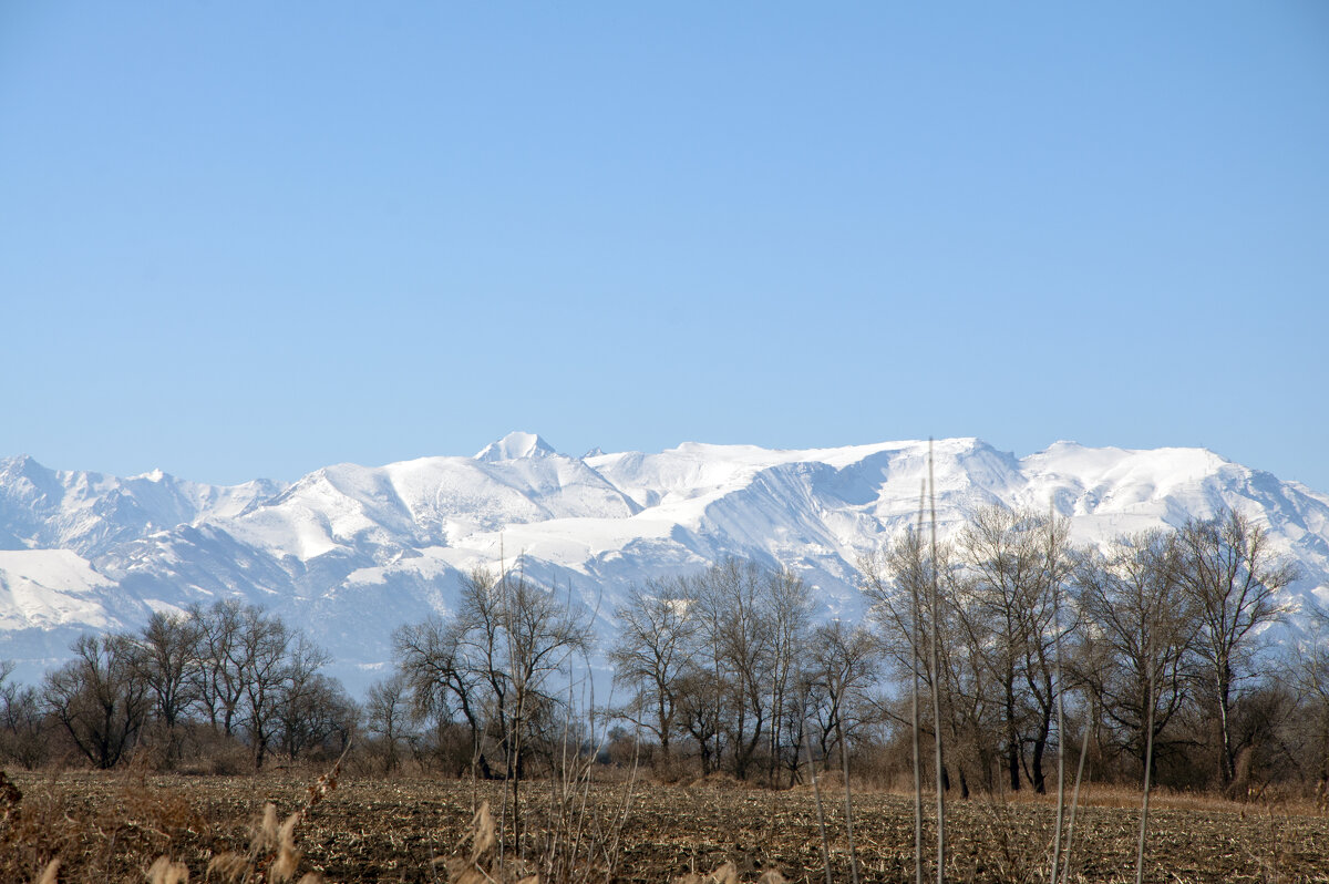 Горная Осетия. 2022 год - Gen 